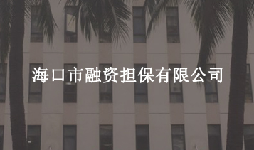 ?？谑腥谫Y擔保有限公司